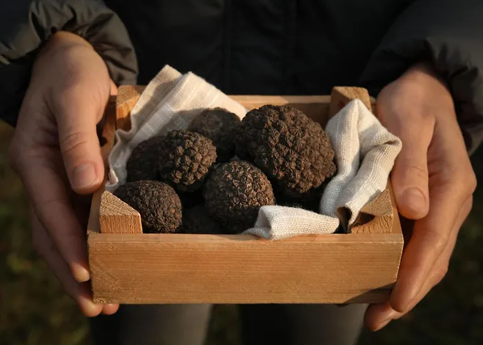 Over The Hilltop By Interhome