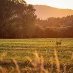 Willa Over The Hilltop By Interhome Bencani